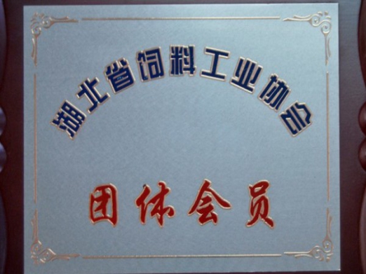 湖北省工業(yè)協(xié)會團體會員.jpg